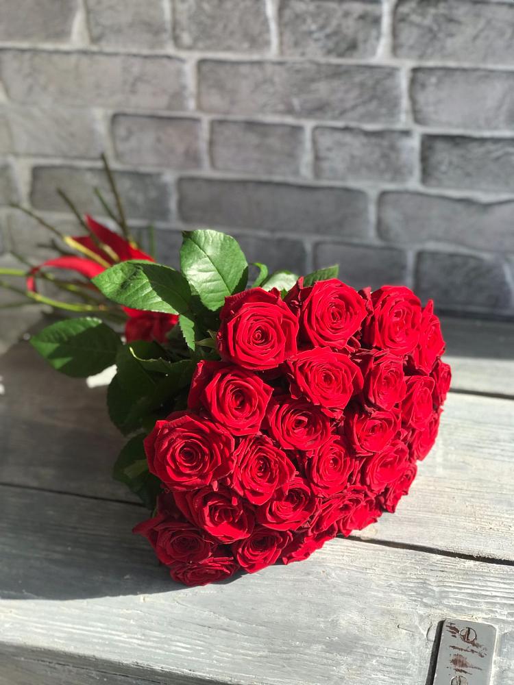 Букет Красные розы Фридом в Лебяжьем Ленинградской области