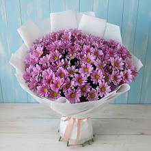 Букет цветов из:  Хризантемы в Лебяжьем Ленинградской области
