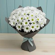 Букет цветов из:  Хризантемы в Лебяжьем Ленинградской области
