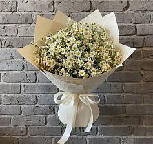 Букет цветов из:  Ромашки в Лебяжьем Ленинградской области
