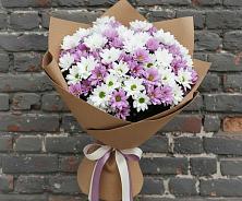 Букет цветов из:  Хризантемы в Лебяжьем Ленинградской области