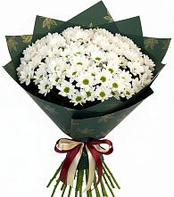 Букет цветов из:  Хризантемы в Лебяжьем Ленинградской области