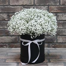 Цветочная композиция из Гипсофила в шляпной коробке в Лебяжьем Ленинградской области