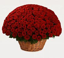 Премиум букет из: Розы в Лебяжьем Ленинградской области